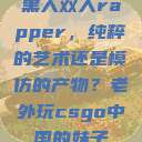 黑人双人rapper，纯粹的艺术还是模仿的产物？老外玩csgo中国的妹子  第1张