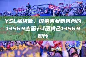 YSL蜜桃色，探索美妆新风尚的13569密码ysl蜜桃色13569图片  第1张