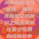 天美麻花星空视频，探索美丽星空的奇幻之旅天美麻花星空视频剧组的故事  第1张