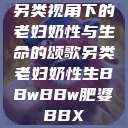 另类视角下的老妇奶性与生命的颂歌另类老妇奶性生BBwBBw肥婆BBX  第1张