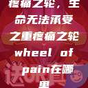 疼痛之轮，生命无法承受之重疼痛之轮wheel of pain在哪里  第1张