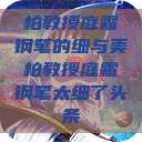 柏教授庭霜钢笔的细与美柏教授庭霜钢笔太细了头条  第1张