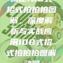 揭秘108式招式拍拍拍图解，深度解析与实战应用108式招式拍拍拍图解动图  第1张