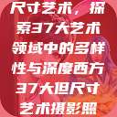 西方视角下的尺寸艺术，探索37大艺术领域中的多样性与深度西方37大但尺寸艺术摄影照片  第1张