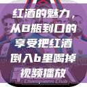 红酒的魅力，从B瓶到口的享受把红酒倒入b里喝掉视频播放  第1张