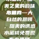 水蜜桃，甜美之果的韵味与魅力
水蜜桃—大自然的恩赐，甜美的诱惑水蜜桃免费观看电视剧  第1张