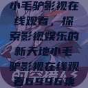 小毛驴影视在线观看，探索影视娱乐的新天地小毛驴影视在线观看6996集  第1张