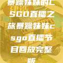 暴躁妹妹的CSGO直播之旅暴躁妹妹csgo直播节目回放完整版  第1张