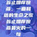 翁止熄痒婉燕，一曲和谐的生命之歌翁止熄痒婉燕最火的一句  第1张