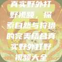 真实野外打野视频，探索自然与狩猎的完美结合真实野外打野视频大全  第1张