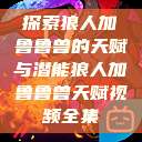 探索狼人加鲁鲁兽的天赋与潜能狼人加鲁鲁兽天赋视频全集 第1张 探索狼人加鲁鲁兽的天赋与潜能狼人加鲁鲁兽天赋视频全集 第1张