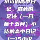 小诗的高中日记，成长的足迹（一月至十五月）小诗的高中日记1一15小说  第1张