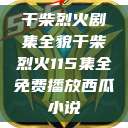 干柴烈火剧集全貌干柴烈火115集全免费播放西瓜小说  第1张