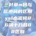 三叶草m码与欧洲码的区别ysl水蜜桃86满十八和88区别  第1张