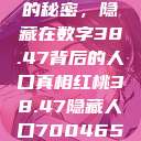 揭秘红桃背后的秘密，隐藏在数字38.47背后的人口真相红桃38.47隐藏人口7004658  第1张