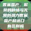 香蕉国产，繁荣的种植与无限的潜力香蕉国产和进口 有区别吗  第1张