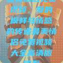 最美情侣免费视频，爱的模样与情感的传递最美情侣免费视频大全高清版观看  第1张