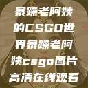 暴躁老阿姨的CSGO世界暴躁老阿姨csgo图片高清在线观看  第1张