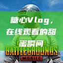 糖心Vlog，在线观看的甜蜜瞬间  第1张