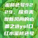 YSL口红水蜜桃色号9229，探索美妆新风尚的必备之选ysl口红水蜜桃色号92295  第1张