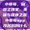 小草莓，自然之瑰宝，美味与健康之源小草莓app改名后叫什么  第1张