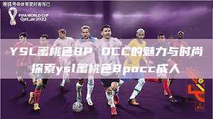 YSL蜜桃色8P OCC的魅力与时尚探索ysl蜜桃色8pocc成人  第1张