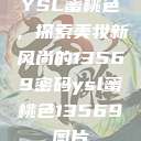 YSL蜜桃色，探索美妆新风尚的13569密码ysl蜜桃色13569图片  第1张