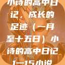 小诗的高中日记，成长的足迹（一月至十五日）小诗的高中日记1一15小说  第1张