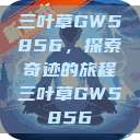 三叶草GW5856，探索奇迹的旅程三叶草GW5856  第1张