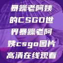 暴躁老阿姨的CSGO世界暴躁老阿姨csgo图片高清在线观看  第1张