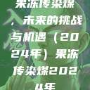 果冻传染煤，未来的挑战与机遇（2024年）果冻传染煤2024年  第1张