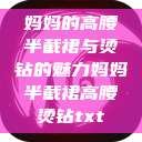 妈妈的高腰半截裙与烫钻的魅力妈妈半截裙高腰烫钻txt  第1张