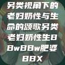 另类视角下的老妇奶性与生命的颂歌另类老妇奶性生BBwBBw肥婆BBX  第1张