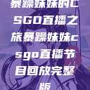 暴躁妹妹的CSGO直播之旅暴躁妹妹csgo直播节目回放完整版  第1张