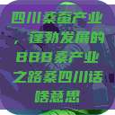 四川桑蚕产业，蓬勃发展的BBB桑产业之路桑四川话啥意思  第1张