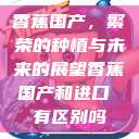 香蕉国产，繁荣的种植与未来的展望香蕉国产和进口 有区别吗  第1张