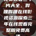 免费观看三年片大全，哔哩哔哩在线影视资源探索三年在线观看完整版免费高清  第1张