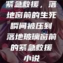 紧急救援，落地窗前的生死瞬间被压到落地玻璃窗前的紧急救援小说  第1张