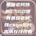 暴躁老阿姨的CSGO世界暴躁老阿姨csgo图片高清在线观看  第1张