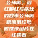 公孙离，泪红眼红与铁球的故事公孙离眼流泪红脸咬铁球图片在线观看  第1张