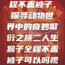 二人生猴子全程不盖被子，探寻动物世界中的奇妙繁衍之旅二人生猴子全程不盖被子可以吗视频  第1张