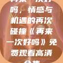 再来一次好吗，情感与机遇的再次碰撞《再来一次好吗》免费观看高清全集  第1张