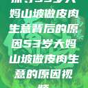 探寻53岁大妈山坡做皮肉生意背后的原因53岁大妈山坡做皮肉生意的原因视频  第1张