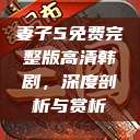 妻子5免费完整版高清韩剧，深度剖析与赏析  第1张