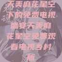 天美麻花星空下的免费电视盛宴天美麻花星空免费观看电视乡村版  第1张