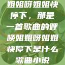姐姐呀姐姐快停下，那是一首歌曲的呼唤姐姐呀姐姐快停下是什么歌曲小说  第1张