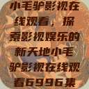 小毛驴影视在线观看,探索影视娱乐的新天地小毛驴影视在线观看6996集 第1张 小毛驴影视在线观看,探索影视娱乐的新天地小毛驴影视在线观看6996集 第1张