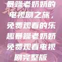 暴躁老奶奶的电视剧之旅，免费观看的乐趣暴躁老奶奶免费观看电视剧完整版  第1张