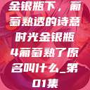 金银瓶下，葡萄熟透的诗意时光金银瓶4葡萄熟了原名叫什么_第01集  第1张
