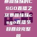 暴躁妹妹的CSGO直播之旅暴躁妹妹csgo直播节目回放完整版  第1张